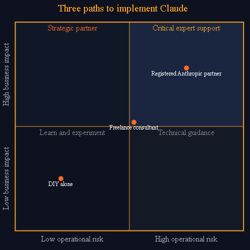 Decision quadrant: X-axis = low to high operational risk, Y-axis = low to high business impact. DIY alone in the low-low quadrant. Freelance consultant in the middle. Registered Anthropic partner in the high-impact, high-risk quadrant, where critical expert support is required.